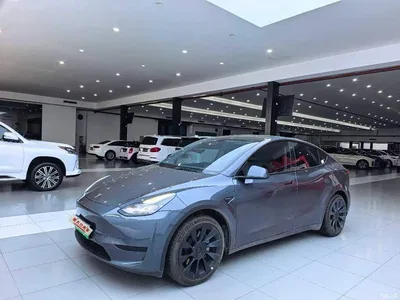 2022 Tesla Model Y Rear-Wheel Drive Version, фото 1, лот 10385262