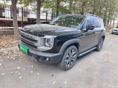 2024 Haval Big Dog 1.5T DCT Border Collie Edition, фото 1, лот 10812446