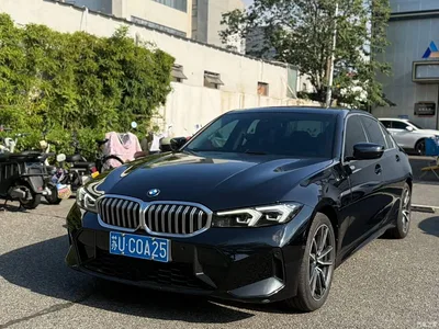 2024 BMW 3 Series 320Li M Sport Package, фото 2, лот 10478769