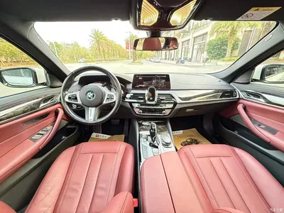 2020 BMW 5 Series 530Li Leading M Sport Package, фото 4, лот 11184237