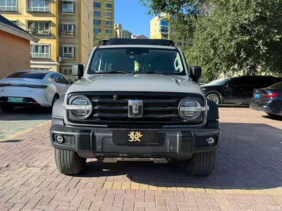 2021 Tank 300 Off-road Version 2.0T Conqueror, фото 1, лот 10344885