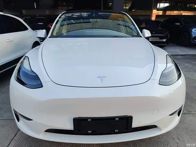 2021 Tesla Model Y Standard Range Rear-Wheel Drive, фото 3, лот 10375847
