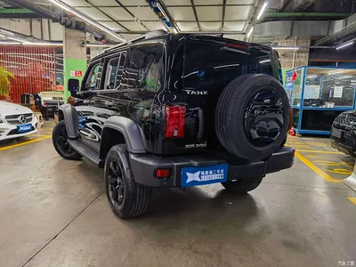2021 Tank 300 Off-road Edition 2.0T Challenger, фото 4, лот 10450114