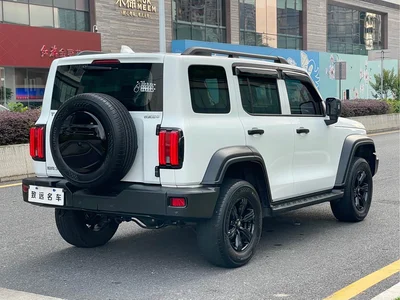 2021 Tank 300 Off-road Edition 2.0T Challenger, фото 3, лот 10344998