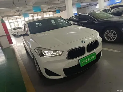 2021 BMW X2 Facelift sDrive25i M Sport Package, фото 4, лот 10888539