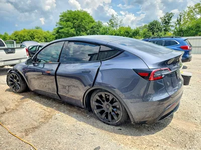 2023 TESLA MODEL Y, фото 2, лот 10664677