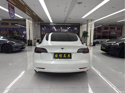 2019 Tesla Model 3 Standard Range Rear-Wheel Drive Upgrade, фото 4, лот 10360828