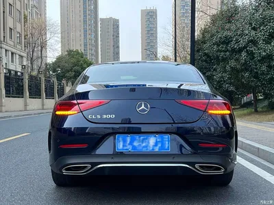 2020 Mercedes-Benz CLS 300 Dynamic, фото 4, лот 10300848