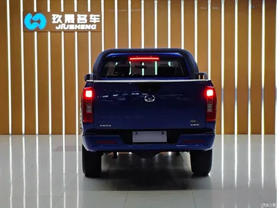 2021 Great Wall Pao 2.0T Commercial Edition Automatic Gasoline 2WD Elite Long Box GW4C20B, фото 4, лот 10364245
