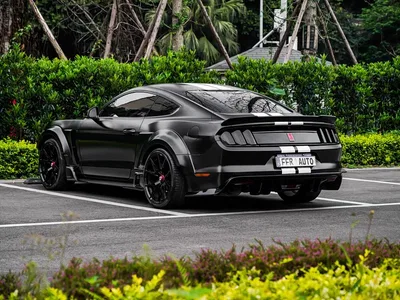 2016 Ford Mustang 2.3T Performance Edition, фото 3, лот 10296524