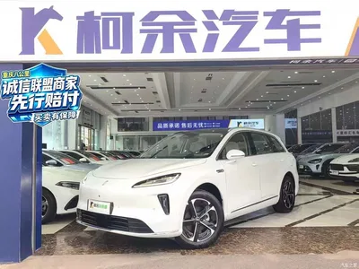 2025 Shangjie SUV Model Pure Electric Pro, фото 1, лот 11649027