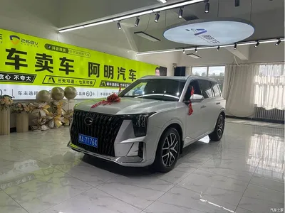 2022 GAC Trumpchi Trumpchi GS8 Hybrid Series 2.0TM 4WD Premium Edition (7-Seater), фото 1, лот 10598272