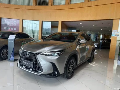 2023 Lexus NX New Energy 400h+ Joy Edition, фото 1, лот 10310897