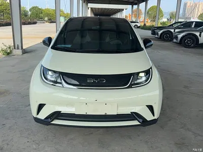 2024 BYD Dolphin Glory Edition 420km Fashion Edition, фото 3, лот 11138879