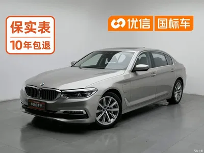2019 BMW 5 Series New Energy 530Le Luxury Package, фото 1, лот 11018433