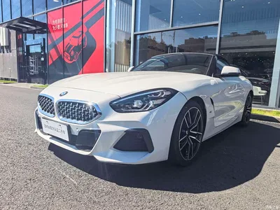 2020 BMW Z4 sDrive 25i Silver Frost Limited Edition, фото 1, лот 11551712