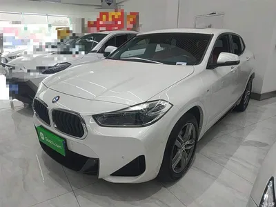 2020 BMW X2 sDrive25i Leading M Sport Package, фото 1, лот 10475589