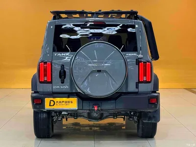 2023 Tank 300 Off-Road Edition 2.0T Conqueror, фото 4, лот 10344073