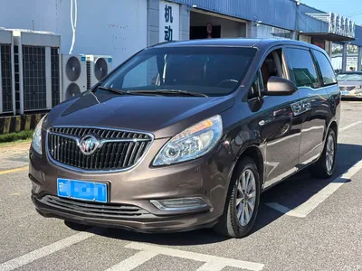 2017 Buick GL8 25S Comfort China V, фото 1, лот 10256558