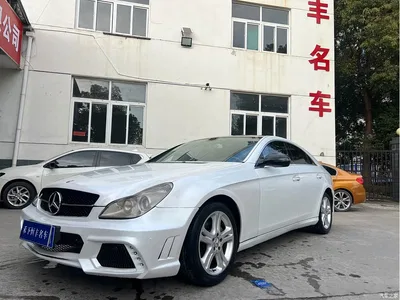2009 Mercedes-Benz CLS 300, фото 1, лот 10300516