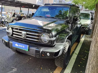 2025 Tank 300 New Energy Hi4-T, фото 1, лот 10334590