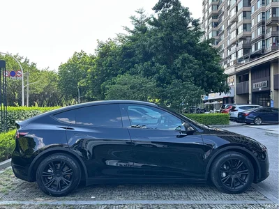 2022 Tesla Model Y Rear-Wheel Drive Version, фото 4, лот 10679322