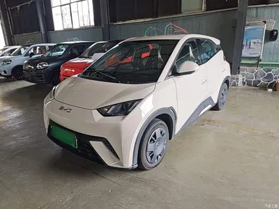 2024 BYD Seagull Glory Edition 305km Vitality Edition, фото 2, лот 10259972