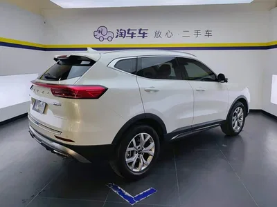 2021 Haval H6 Model National Trend Edition 1.5T Auto Champion, фото 3, лот 10298591