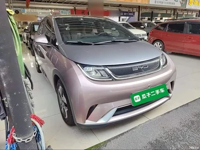 2021 BYD Dolphin Model 405km Fashion Edition, фото 4, лот 10264153