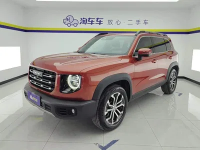 2021 Haval Big Dog 1.5T DCT 2WD Border Collie Edition, фото 1, лот 10361942