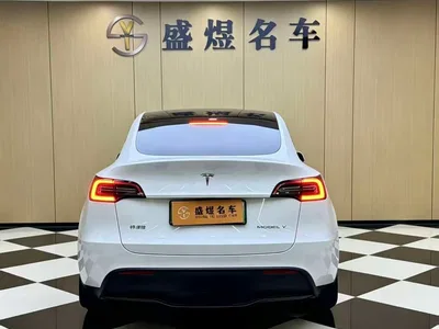 2024 Tesla Model Y Rear-Wheel Drive Version, фото 2, лот 11222499