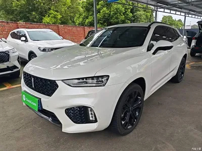 2017 WEY VV7 2.0T Super Luxury, фото 1, лот 10452313