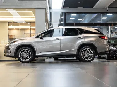 2020 Lexus RX 450hL AWD Chunxiang Edition 7-Seater, фото 4, лот 10842154