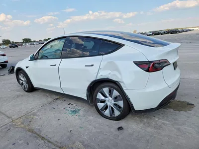 2023 TESLA MODEL Y, фото 2, лот 10855773