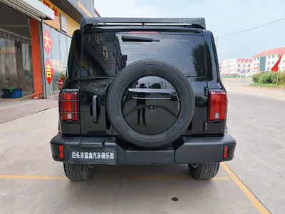 2024 Tank 300 Model 2.0T Challenger, фото 4, лот 10345158