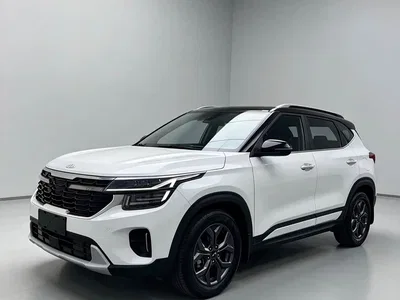 2023 Kia Seltos 1.5L CVT Luxury Edition, фото 1, лот 10337391