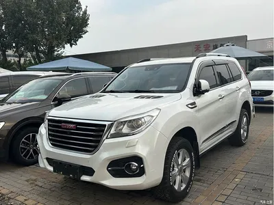 2017 Haval H9 2.0T Gasoline 4WD Premium 7-Seater, фото 1, лот 10898941