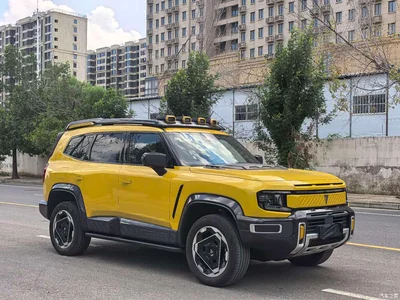 2025 Deepal Deep Blue G318 Worry-Free Cross 4WD Secret Realm Edition, фото 3, лот 11645874