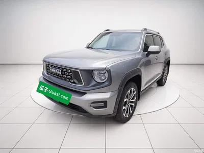 2023 Haval Da Gou 2nd Gen 2.0T 2WD Trendy Off-road Edition Plus, фото 2, лот 10286187