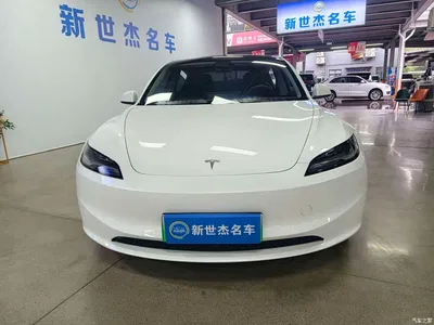 2023 Tesla Model 3 Long Range All-Wheel Drive, фото 3, лот 10886769