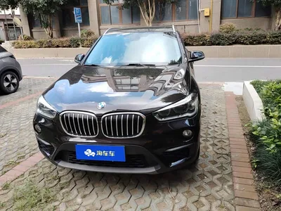 2019 BMW X1 sDrive20Li Leading Model, фото 2, лот 11200639