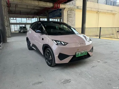2025 BYD Seagull Smart Drive Edition 305km Freedom Version, фото 4, лот 10886641