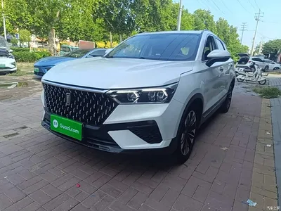 2019 Besturn Bestune T77 Facelift 230 TID Automatic Luxury China VI, фото 1, лот 10409387