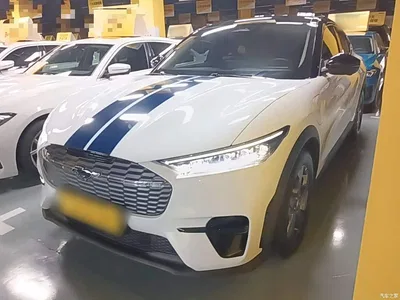 2021 Ford Mustang Mach-E Leap World RWD (Standard Range), фото 1, лот 10281612