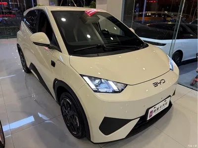 2025 BYD Seagull Smart Drive Edition 305km Freedom Version, фото 3, лот 10450505