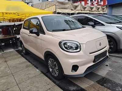 2021 Leapmotor T03 400 Comfort Edition, фото 4, лот 10441915