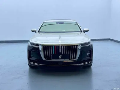 2022 Hongqi H9 2.0T Smart Connect Flag Smooth Edition, фото 2, лот 11190126