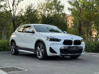 2021 BMW X2 sDrive25i Leading M Off-Road Package, фото 3, лот 10593954