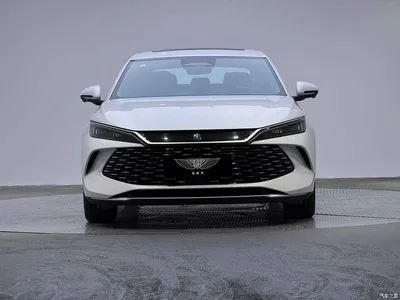 2025 BYD Qin L DM-i Smart Drive Edition 120KM Surpassing, фото 2, лот 11002699