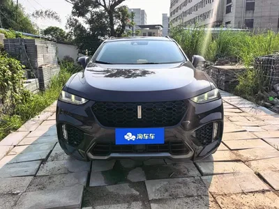 2017 WEY VV7 2.0T Flagship, фото 3, лот 10696653